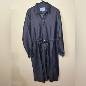 The Shirt by Rochelle Behrens Denim Dress